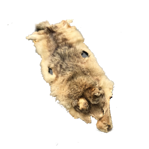cropped-cropped-pelz.png
