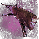 cropped-Skill_SpermWhaleSpore_Icon-1.png
